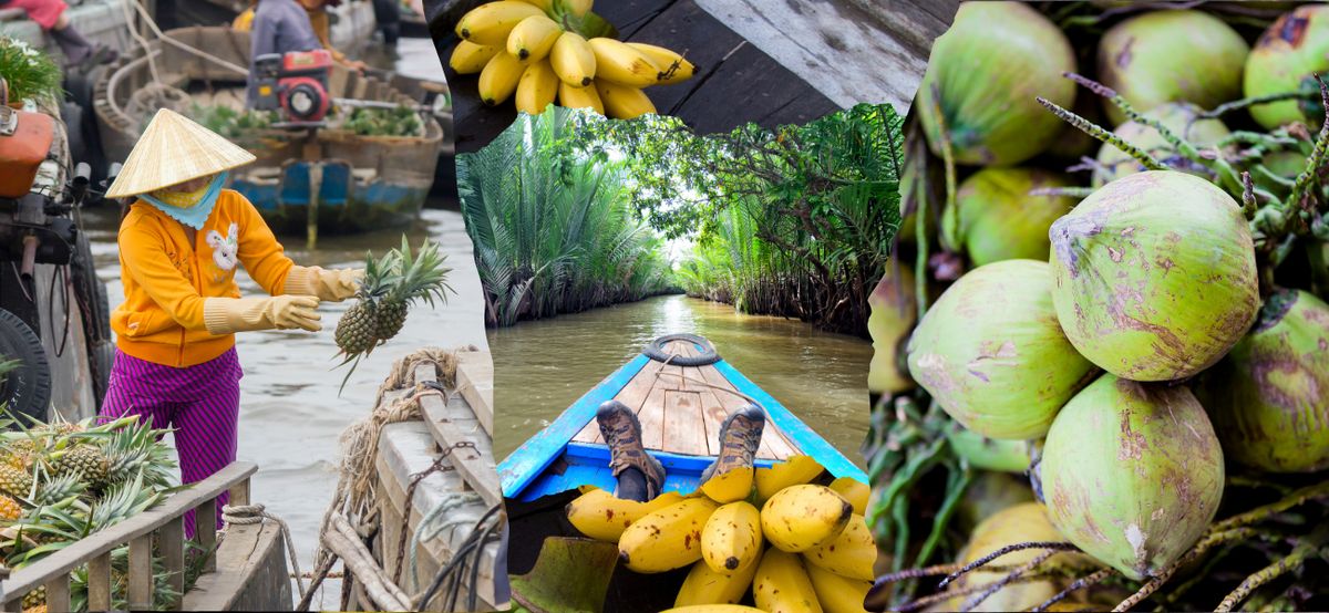 Delta del Mekong: guía para explorar lo terrestre - acuática