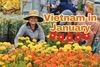 Vietnam in January: 5 key Tet Holiday prep tips