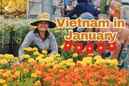 Vietnam in January: 5 key Tet Holiday prep tips