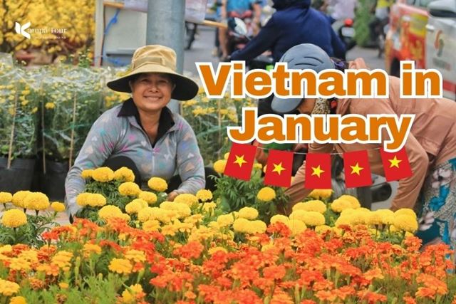 Vietnam in January: Weather & 11 Best Places to Go!