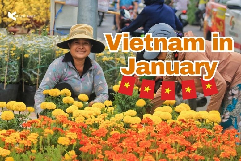 Weather in Vietnam January Temperature Overview