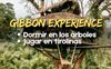 Gibbon Experience en Laos: ¡Duerme en los árboles y deslízate como Tarzán!