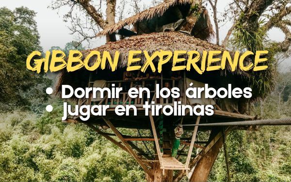 Gibbon Experience en Laos: ¡Duerme en los árboles y deslízate como Tarzán!