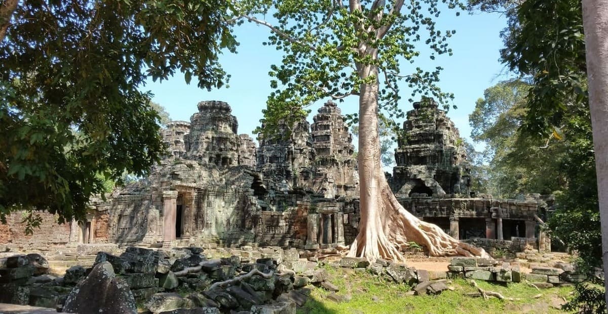 Ta Prohm: Templo misterioso bajo el abrazo de las raíces gigantes