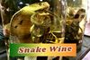 Snake Wine: Asia’s Most Ancient and Fearless Drink