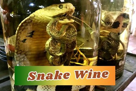 Snake Wine: Asia’s Most Ancient and Fearless Drink