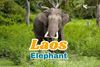 Why is the Elephant the Soul of Laos Culture?