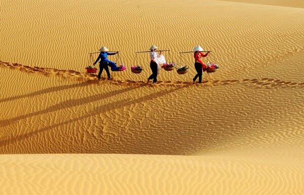 Mui Ne, 5 Key Questions Before Booking Your Dream Seaside Escape