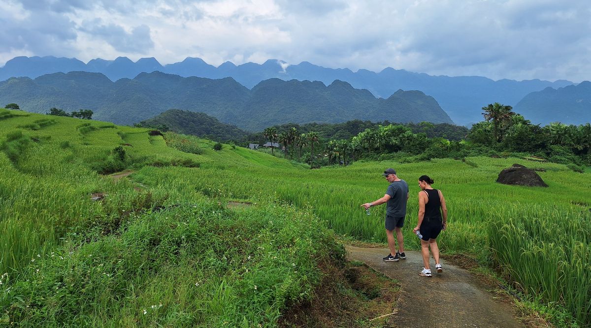 Tifón Yagi en Vietnam - Actualización