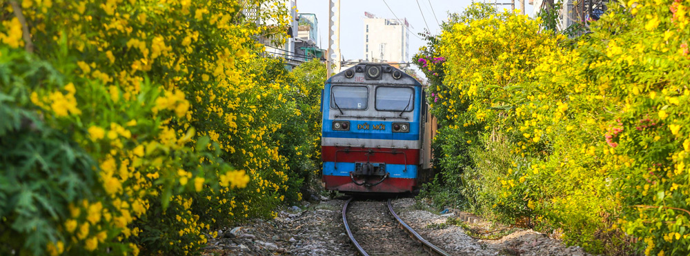 Train Travel Vietnam: Complete Guide and Routes in 2024