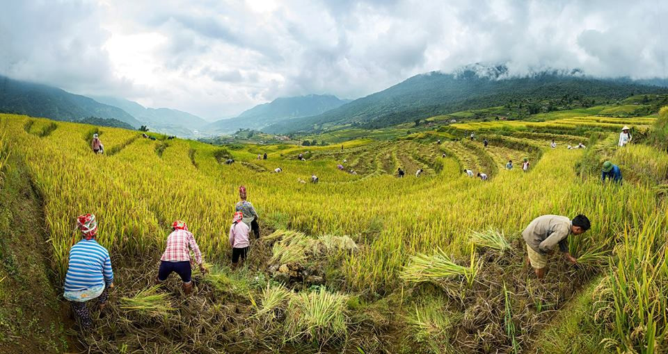 Sapa Weather in September: Your Complete Travel Guide