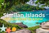 Stop everything and explore the Similan Islands? Here are top 8 reasons!