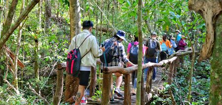 Las 4 mejores rutas de senderismo en el Parque Nacional de Phu Quoc