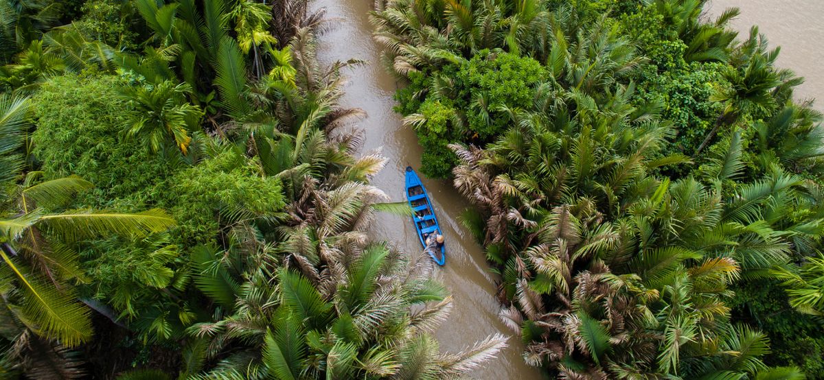 Ben Tre: Guía completa para visitar el Reino de los Cocoteros de Vietnam