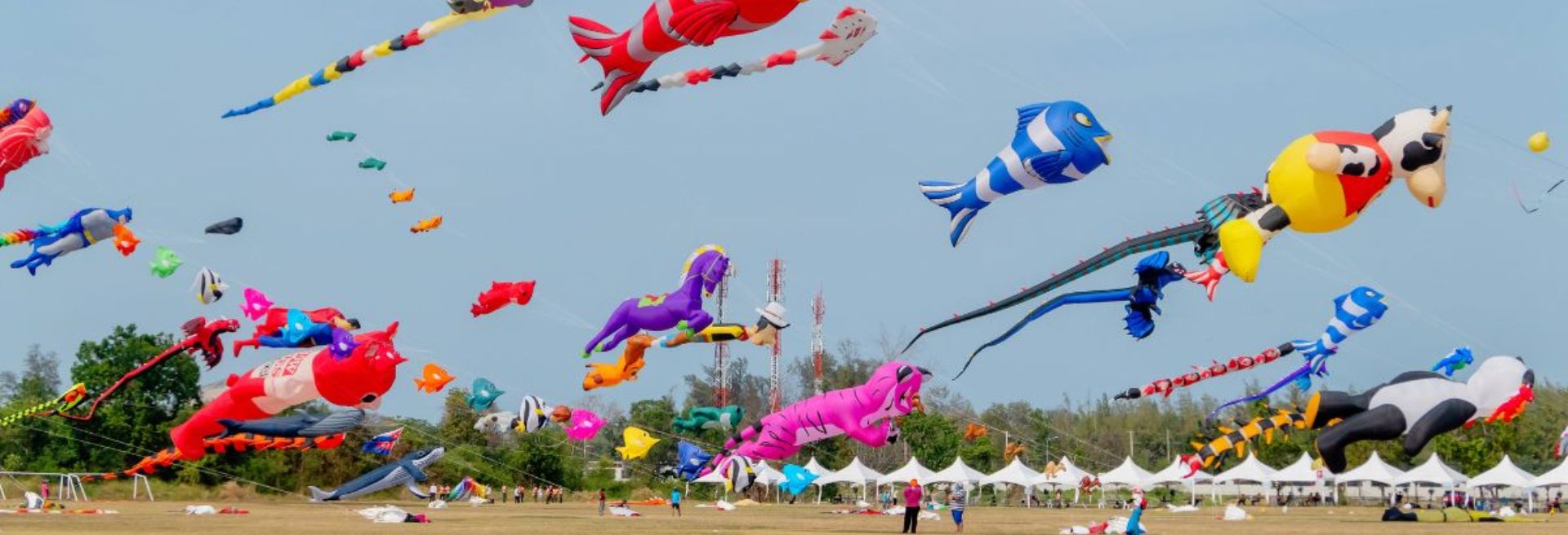 May in Thailand: Must-See Festivals and Events!