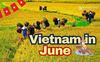 Vietnam in June: What You Need to Know and Where to Go