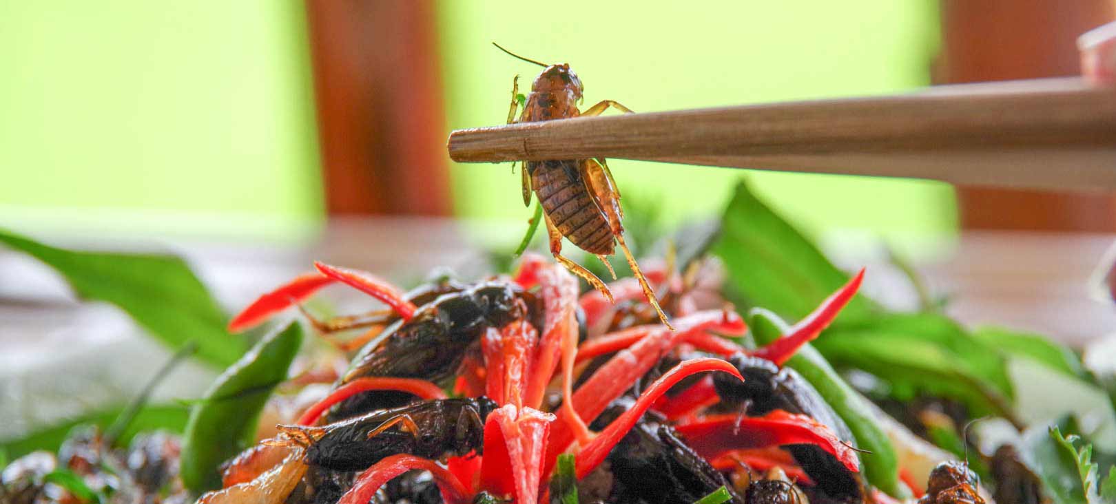 Top 10 Cambodian street foods youll surely crave!