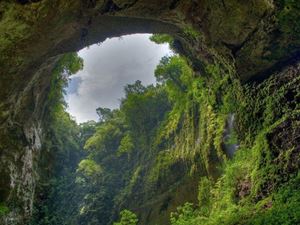 Los parques nacionales de Vietnam y Laos reconocidos como Patrimonio Mundial