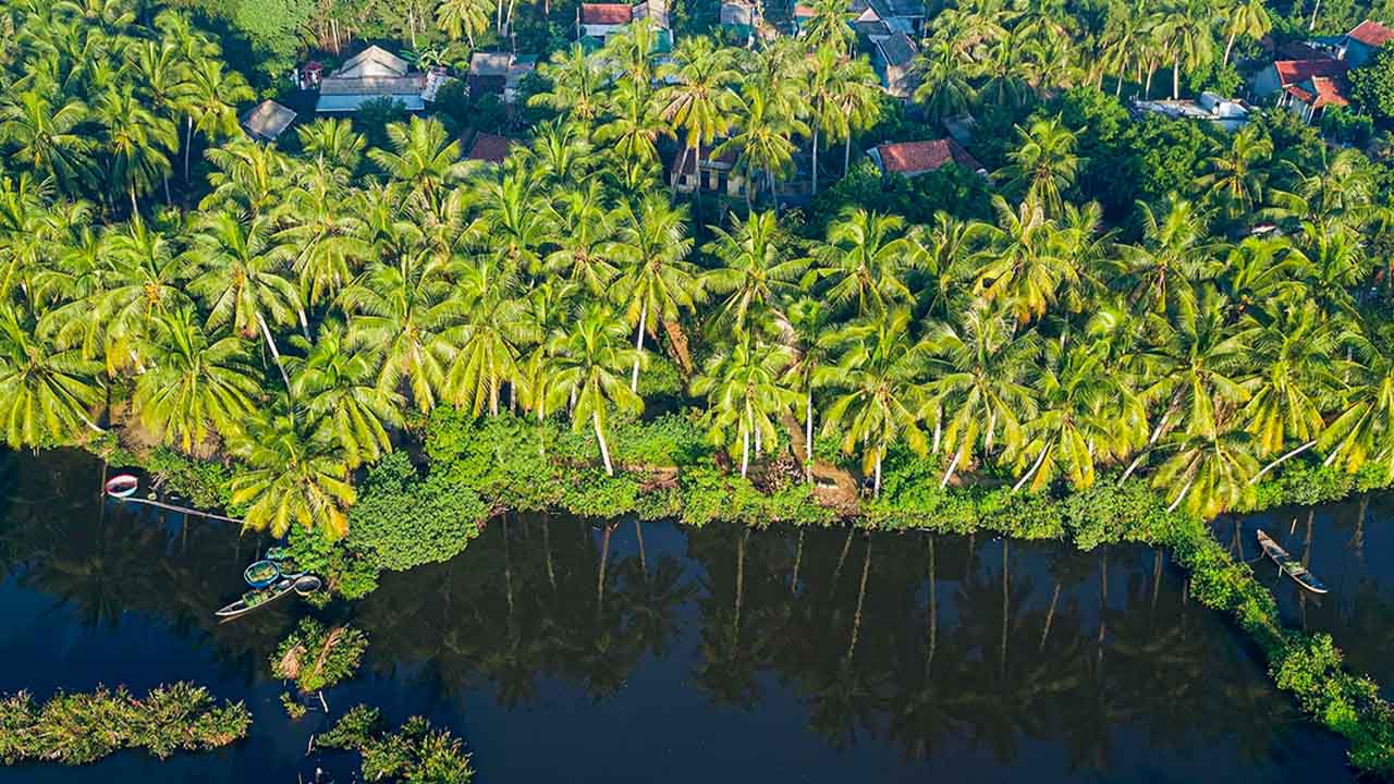 Ben Tre, Vietnam: The Kingdom of Coconut Palms In The Mekong Delta