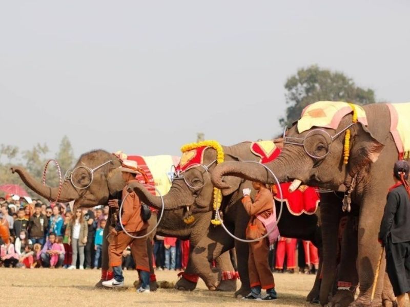 Laos: Se anuncian las fechas del Festival del Elefante 2025