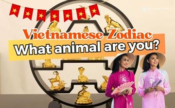 Vietnamese Zodiac 2026: Is the Year of the Horse Lucky for You?