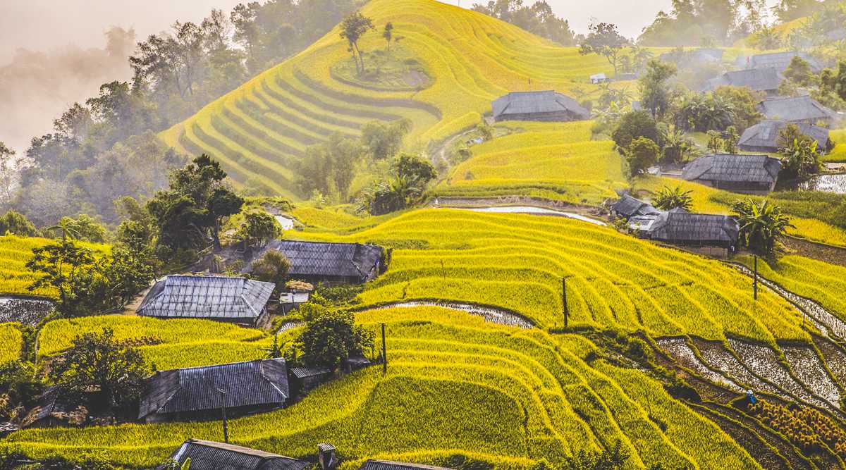 Hoang Su Phi: An Uncovered Treasure on the Ha Giang Loop