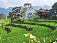 Mi ruta por Pu Luong, una joya cultural, forestal y acuática