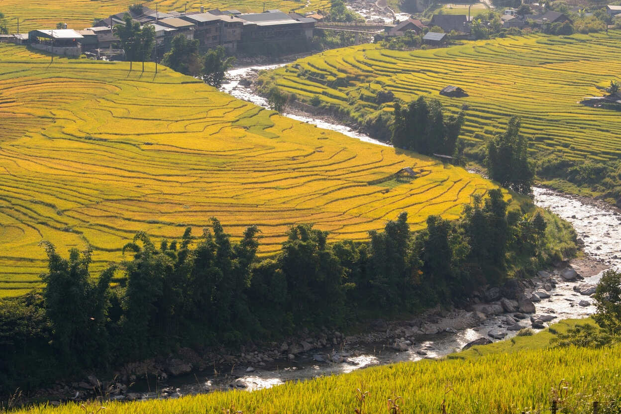 Sapa in August: Weather, What To Do & Practical Travel Tips