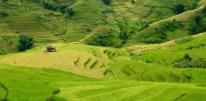 Lao Chai, Sapa: Cómo hacer trekking, hospedarse y conectar
