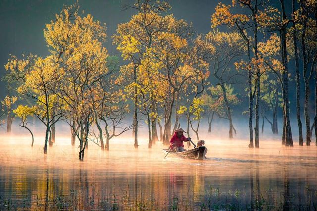 Suoi Tia – A Golden Autumn in the Highlands of Da Lat