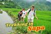 Sapa trekkings: Top 5 inspiring routes in Northern Vietnam