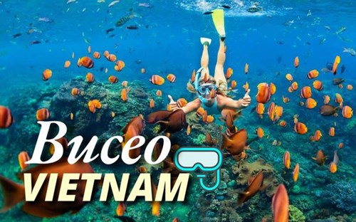 Buceo en Vietnam: Los 10 mejores lugares para experimentar