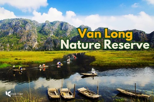 Van Long Nature Reserve: A Jewel in Ninh Binh’s Natural Landscape