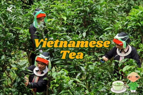 The truth behind Vietnamese Tea: What you didnt know!