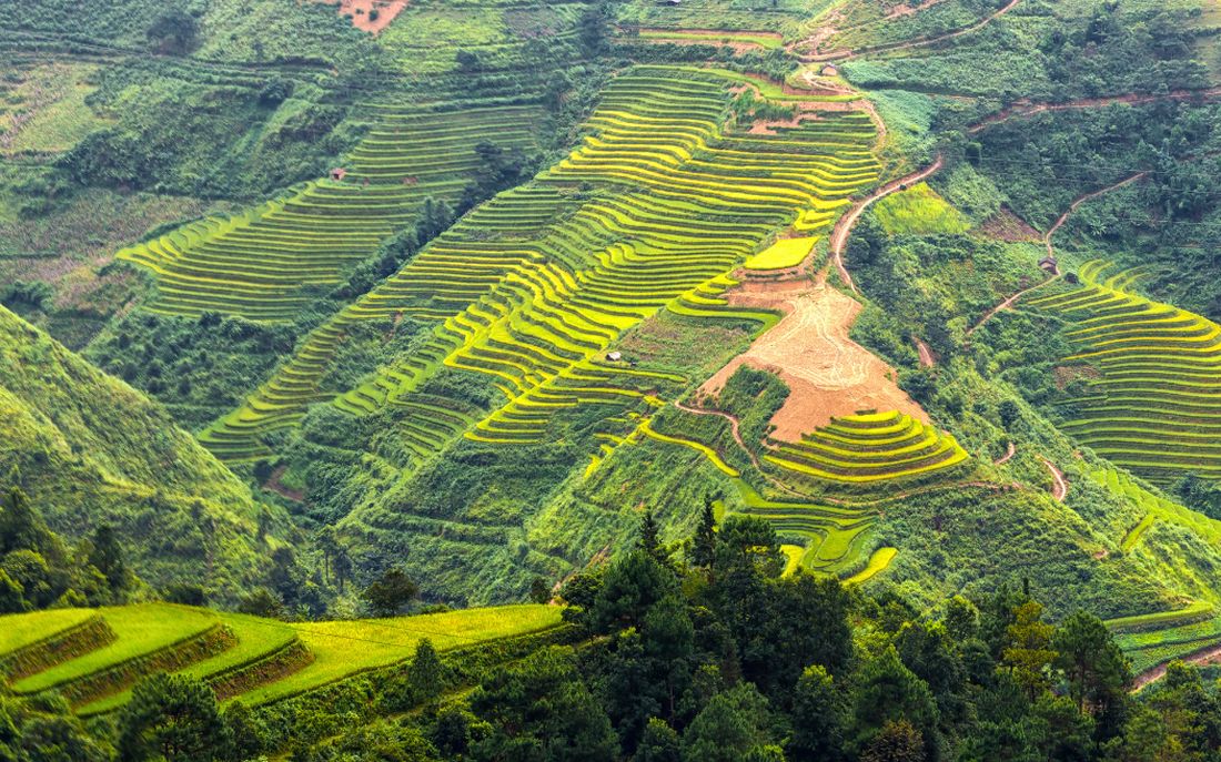 Hoang Su Phi: Ofrece los mejores arrozales de Ha Giang