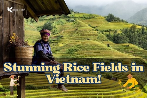 7 Amazing Places to Catch Stunning Rice Fields in Vietnam!