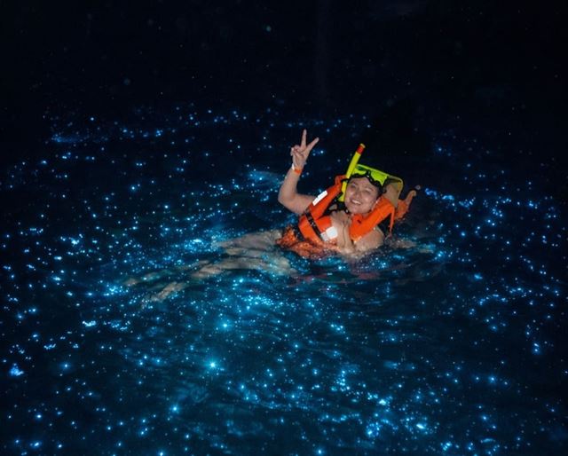 Where to See Bioluminescent Plankton in Cat Ba (Local Guide 2026)