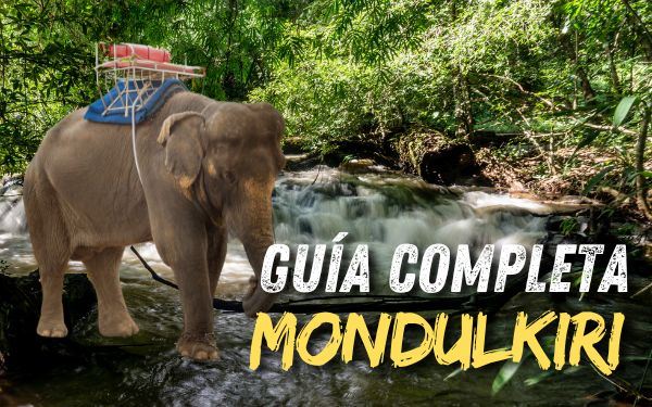 Guía de Mondulkiri: explora las tierras altas camboyanas