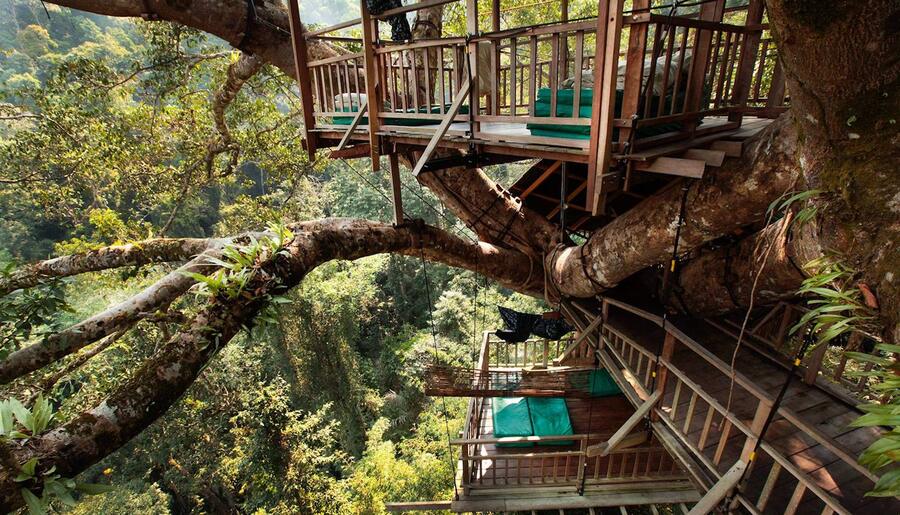 Gibbon Experience en Laos: ¡Duerme en los árboles y deslízate como Tarzán!