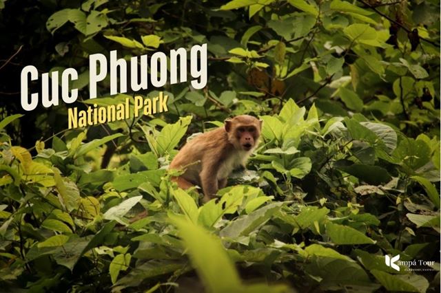Cuc Phuong National Park: Home to Vietnam’s Oldest Rainforest