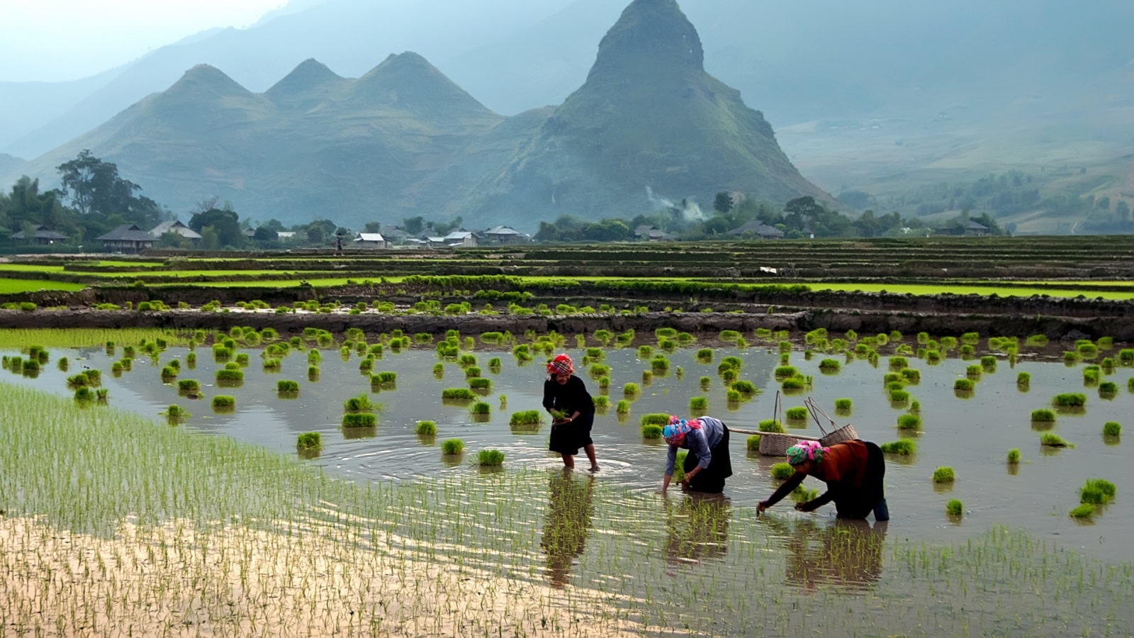 Mai Hich: A new name in Northern Vietnam’s travel map