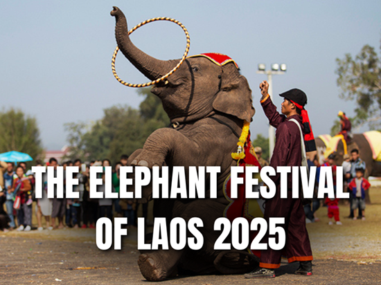 Laos: 2025 Elephant Festival Dates Announced