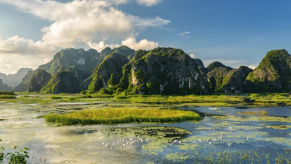 Van Long Nature Reserve: A Jewel in Ninh Binh’s Natural Landscape