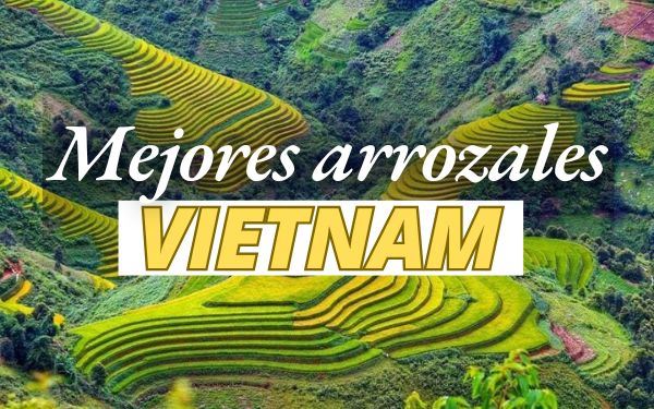 Top 8 mejores lugares para ver arrozales en Vietnam