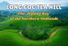 Explore Long Coc Tea Hill – the Halong Bay of the Mountainous Midlands