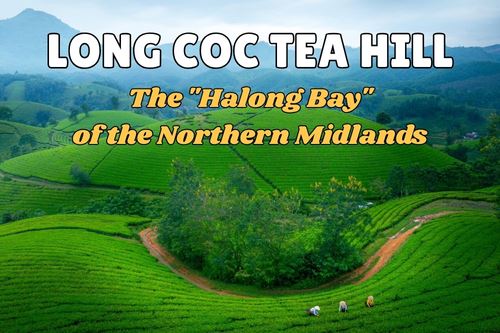 Explore Long Coc Tea Hill – the Halong Bay of the Mountainous Midlands