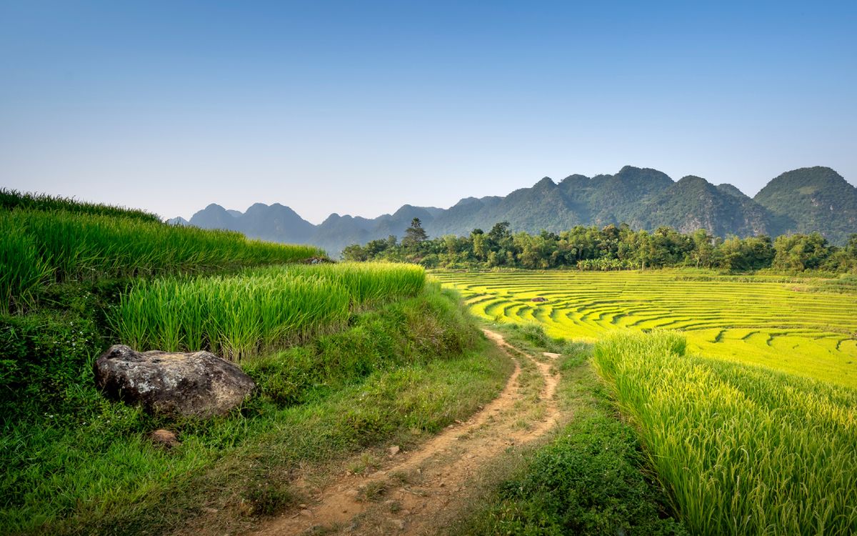 Pu Luong o Sapa: Guía para elegir tu próxima aventura