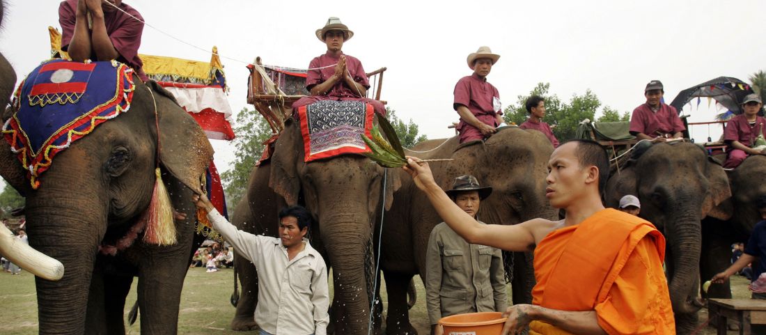 Dónde ver elefantes en Laos: El alma de la cultura laosiana