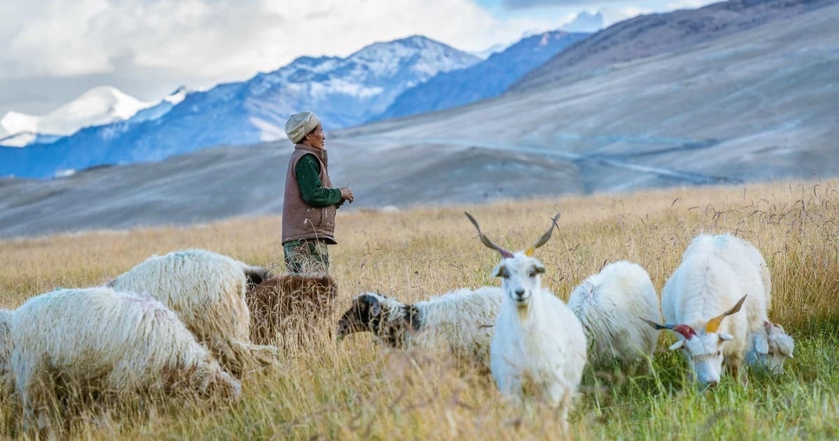 ¿Con ganas de escapar en noviembre? ¿Y si te vas a Asia?