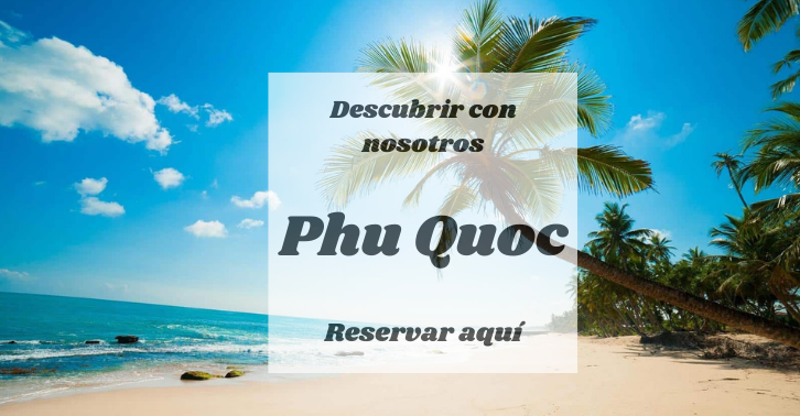 puedes ver perros en phu quoc